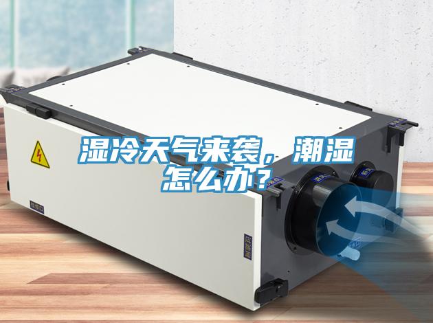 濕冷天氣來襲，潮濕怎麽辦？