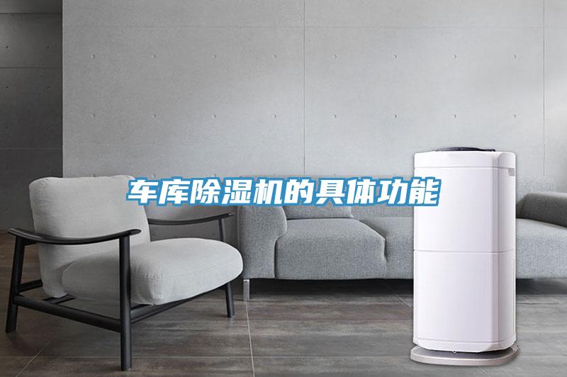 車庫蘑菇视频网站的具體功能