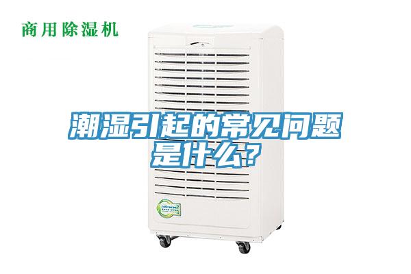 潮濕引起的常見問題是什麽？