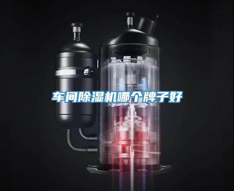 車間蘑菇视频网站哪個牌子好