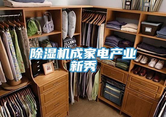 蘑菇视频网站成家電產業新秀