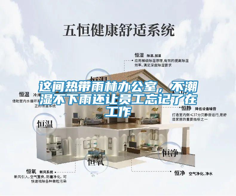 這間熱帶雨林辦公室，不潮濕不下雨還讓員工忘記了在工作
