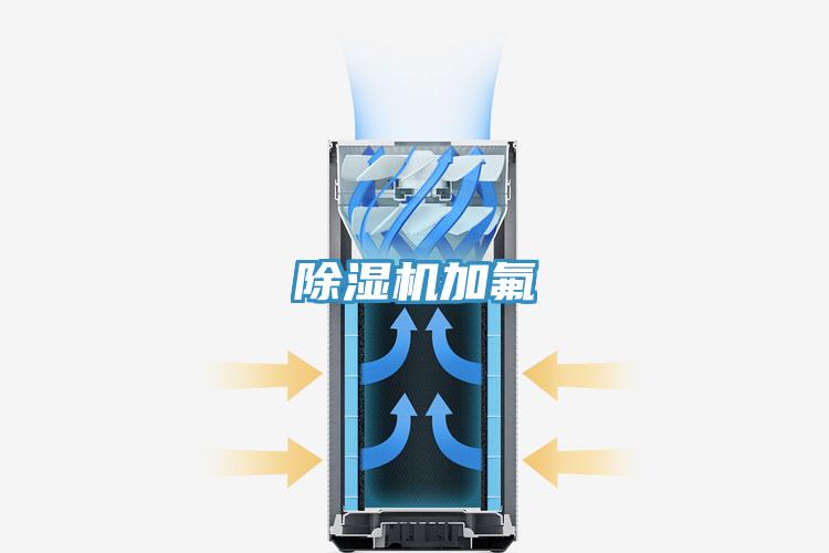蘑菇视频网站加氟