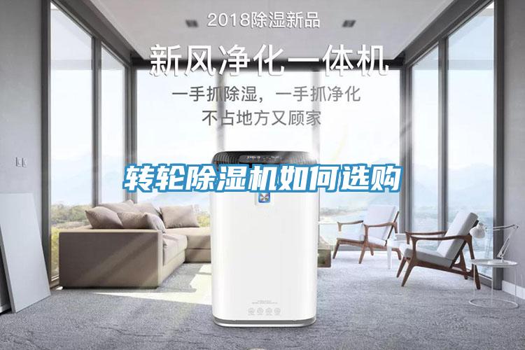 轉輪蘑菇视频网站如何選購