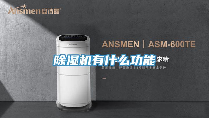 蘑菇视频网站有什麽功能