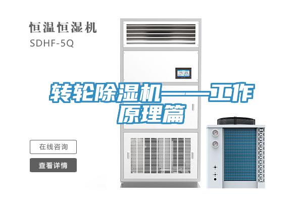 轉輪蘑菇视频网站——工作原理篇