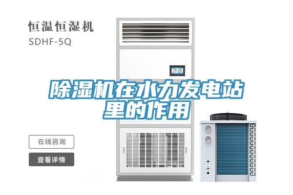 蘑菇视频网站在水力發電站裏的作用