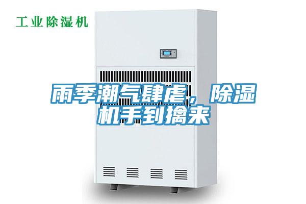 雨季潮氣肆虐，蘑菇视频网站手到擒來