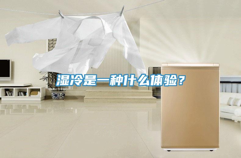 濕冷是一種什麽體驗？