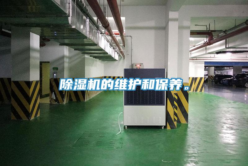 蘑菇视频网站的維護和保養。