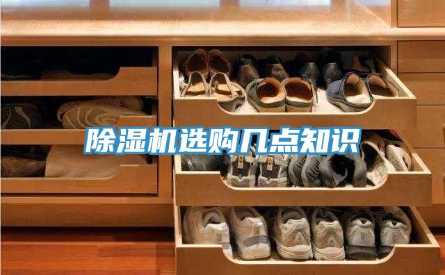 蘑菇视频网站選購幾點知識