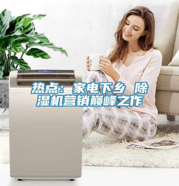 熱點：家電下鄉 蘑菇视频网站營銷巔峰之作