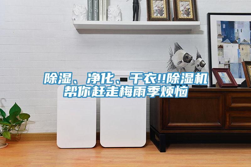 除濕、淨化、幹衣!!蘑菇视频网站幫你趕走梅雨季煩惱