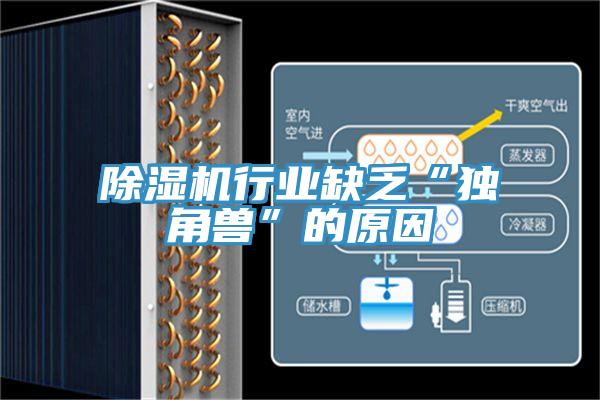 蘑菇视频网站行業缺乏“獨角獸”的原因