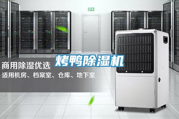烤鴨蘑菇视频网站