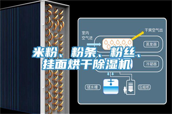 米粉、粉條、粉絲、掛麵烘幹蘑菇视频网站