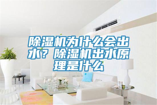 蘑菇视频网站為什麽會出水？蘑菇视频网站出水原理是什麽