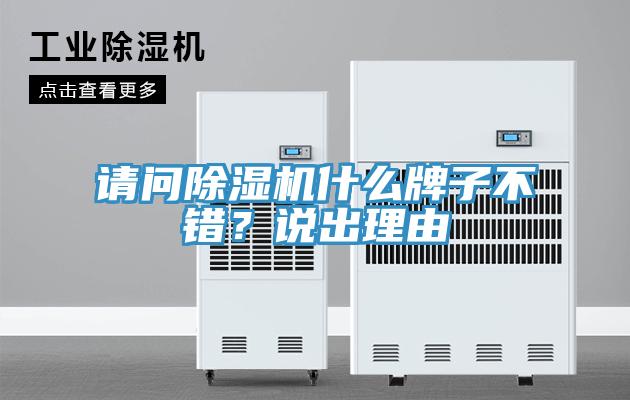 請問蘑菇视频网站什麽牌子不錯？說出理由