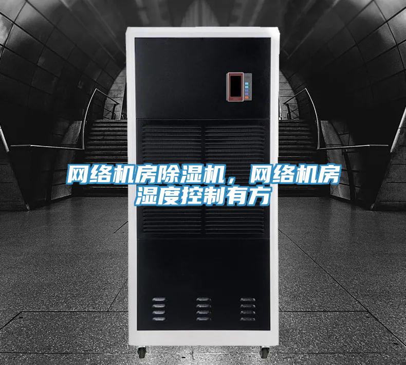 網絡機房蘑菇视频网站，網絡機房濕度控製有方