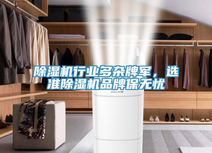 蘑菇视频网站行業多雜牌軍，選準蘑菇视频网站品牌保無憂