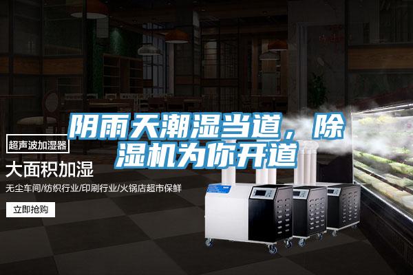 陰雨天潮濕當道，蘑菇视频网站為你開道