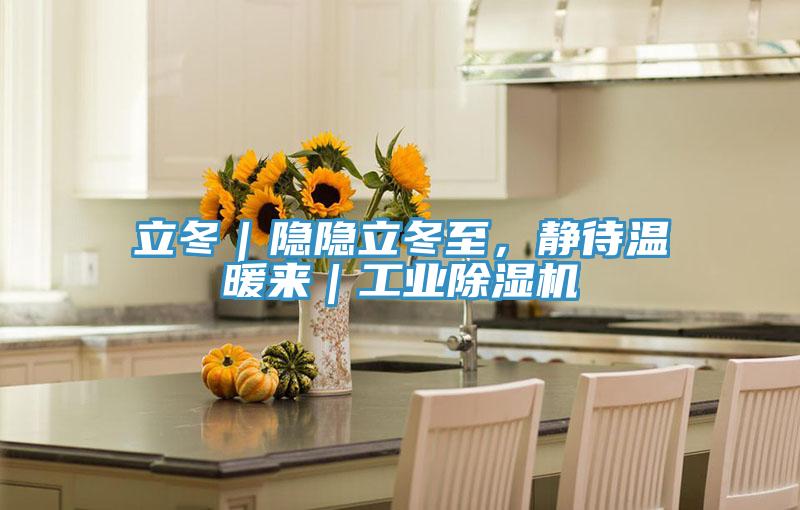立冬｜隱隱立冬至，靜待溫暖來｜工業蘑菇视频网站
