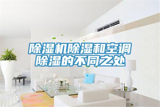 蘑菇视频网站除濕和空調除濕的不同之處