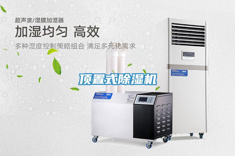 頂置式蘑菇视频网站