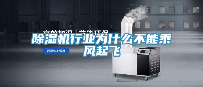 蘑菇视频网站行業為什麽不能乘風起飛