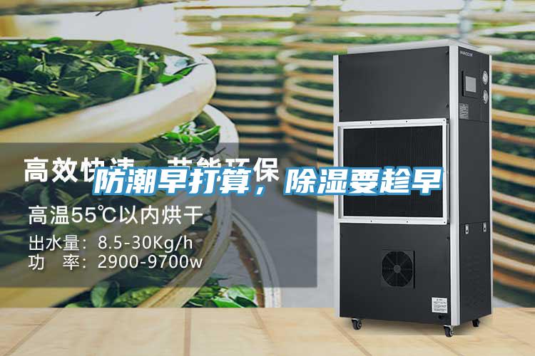 防潮早打算，除濕要趁早