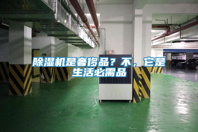 蘑菇视频网站是奢侈品？不，它是生活必需品
