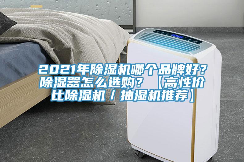 2021年蘑菇视频网站哪個品牌好？除濕器怎麽選購？【高性價比蘑菇视频网站／抽濕機推薦】