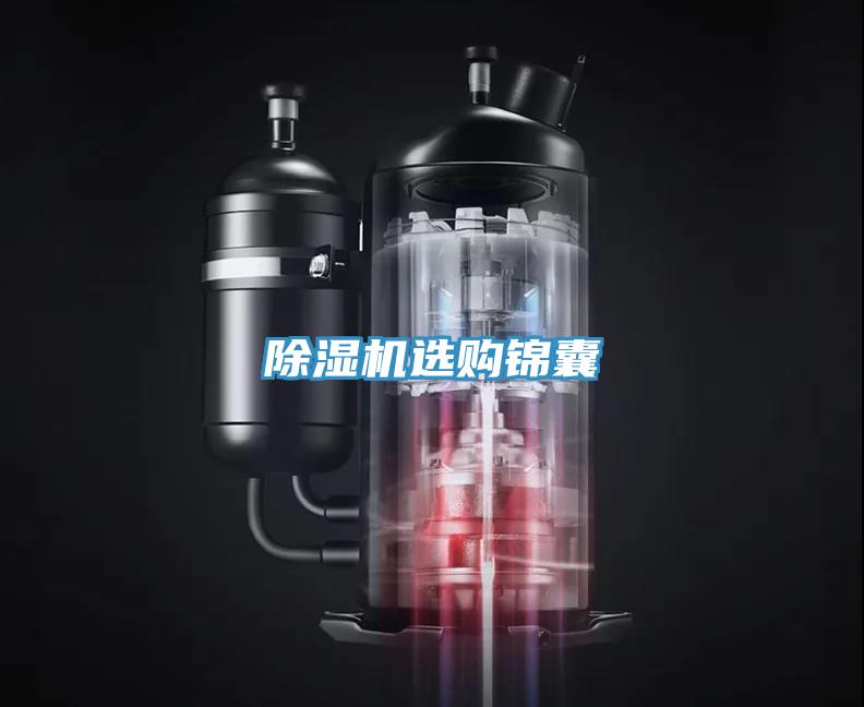 蘑菇视频网站選購錦囊