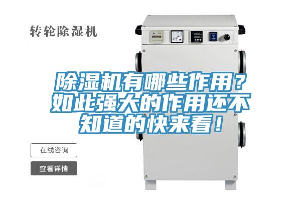 蘑菇视频网站有哪些作用？如此強大的作用還不知道的快來看！