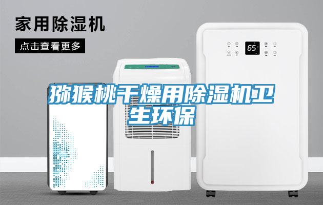 獼猴桃幹燥用蘑菇视频网站衛生環保