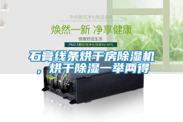 石膏線條烘幹房蘑菇视频网站，烘幹除濕一舉兩得