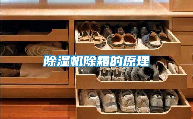 蘑菇视频网站除霜的原理