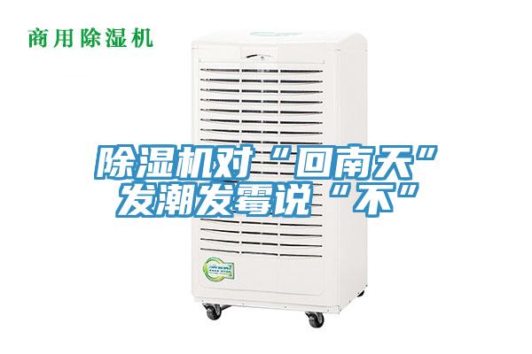 蘑菇视频网站對“回南天”發潮發黴說“不”