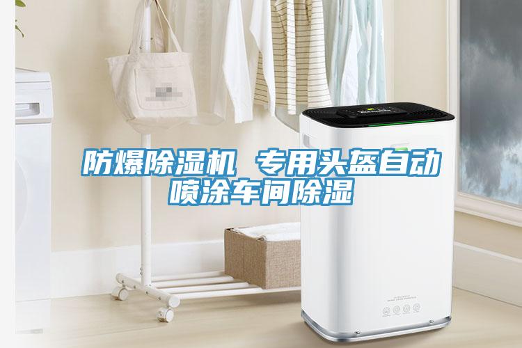 防爆蘑菇视频网站 專用頭盔自動噴塗車間除濕
