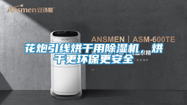 花炮引線烘幹用蘑菇视频网站，烘幹更環保更安全