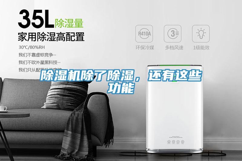 蘑菇视频网站除了除濕，還有這些功能