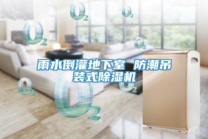 雨水倒灌地下室 防潮吊裝式蘑菇视频网站