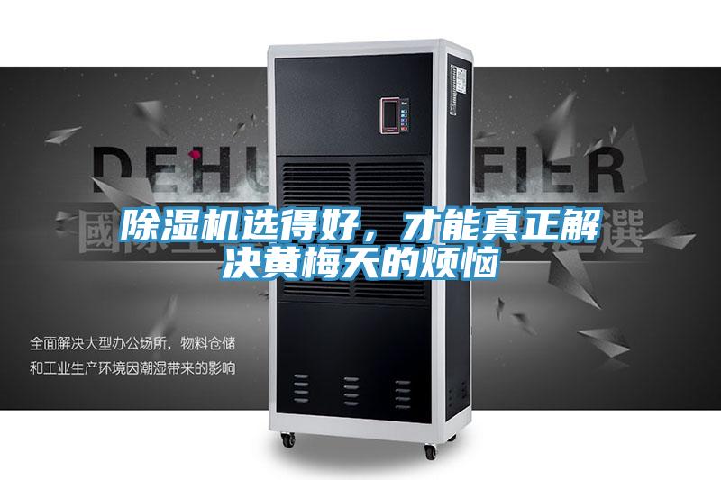 蘑菇视频网站選得好，才能真正解決黃梅天的煩惱