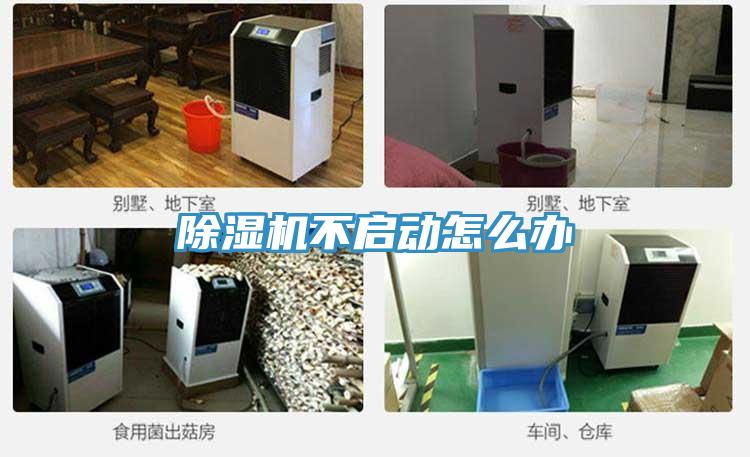 蘑菇视频网站不啟動怎麽辦