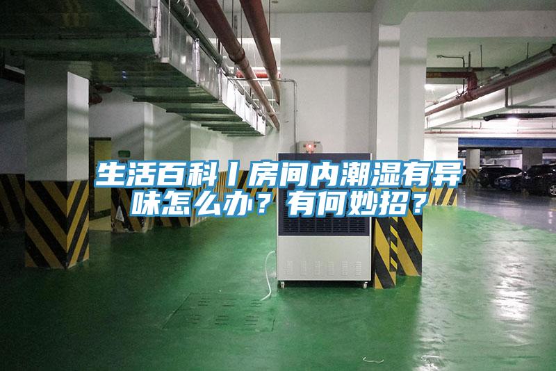 生活百科丨房間內潮濕有異味怎麽辦？有何妙招？