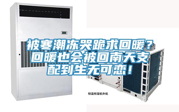 被寒潮凍哭跪求回暖？回暖也會被回南天支配到生無可戀！