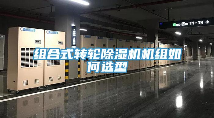 組合式轉輪蘑菇视频网站機組如何選型