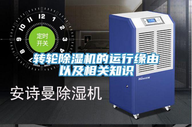 轉輪蘑菇视频网站的運行緣由以及相關知識