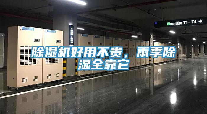 蘑菇视频网站好用不貴，雨季除濕全靠它