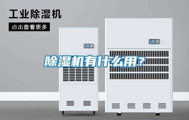 蘑菇视频网站有什麽用？